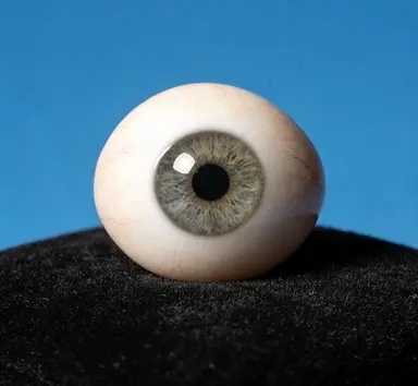 技师正在制作义眼